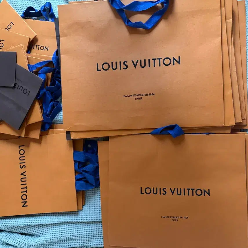 [BUNJANG] Louis Vuitton Shopping Bags Bundle Set (47 pcs) / 루이비통 쇼핑백 47개 일괄판매