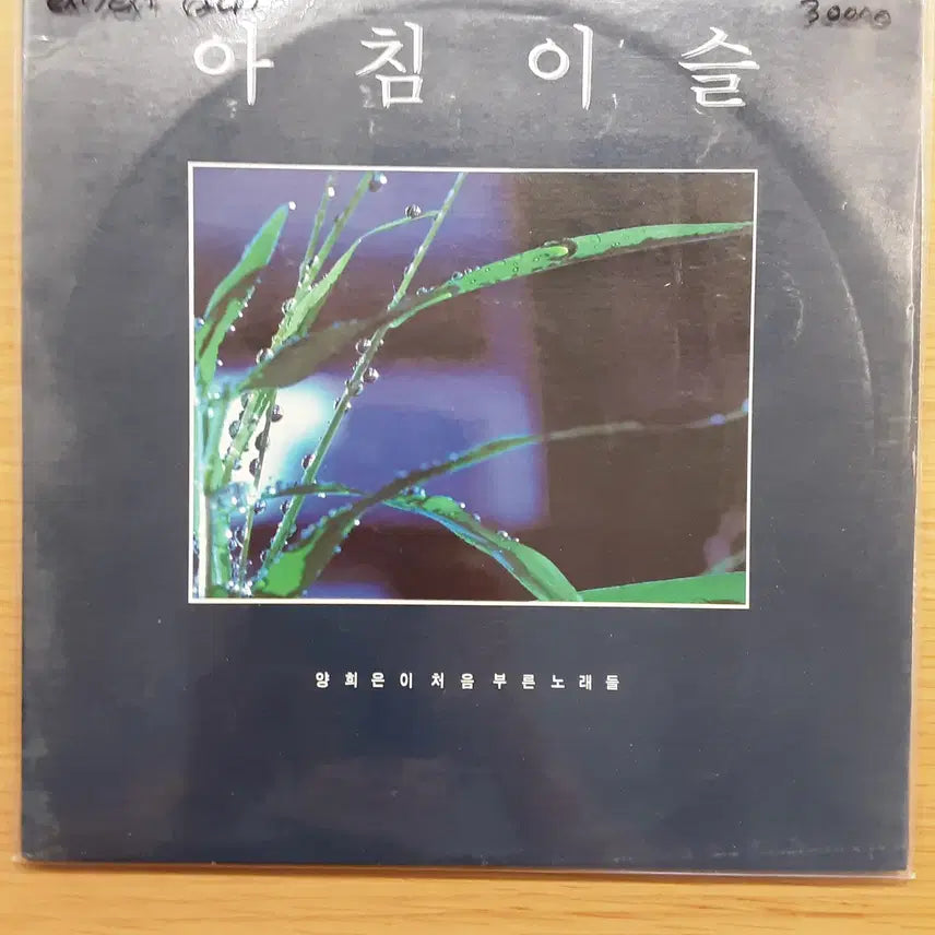 [BUNJANG] Yang Hee-eun First Sung Songs LP / 양희은 - 양희은이 처음 부른 노래들