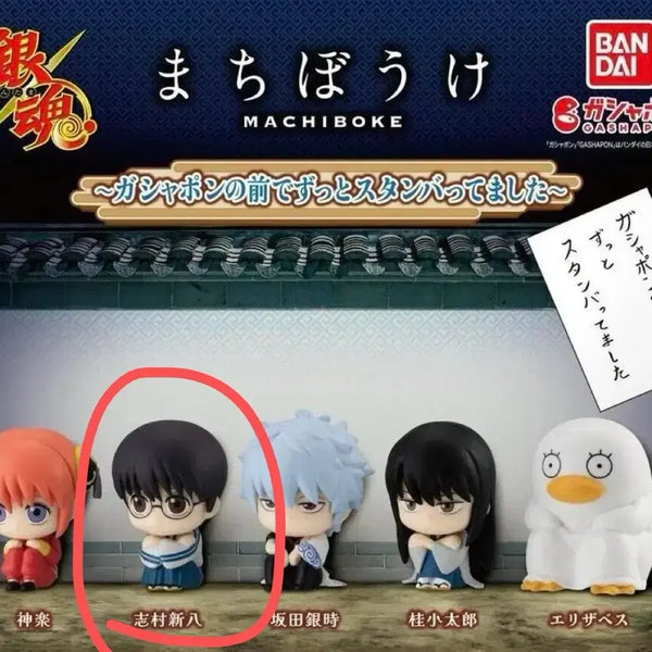 [BUNJANG] Gintama Machiboke Shinpachi / 은혼 마치보케 신파치