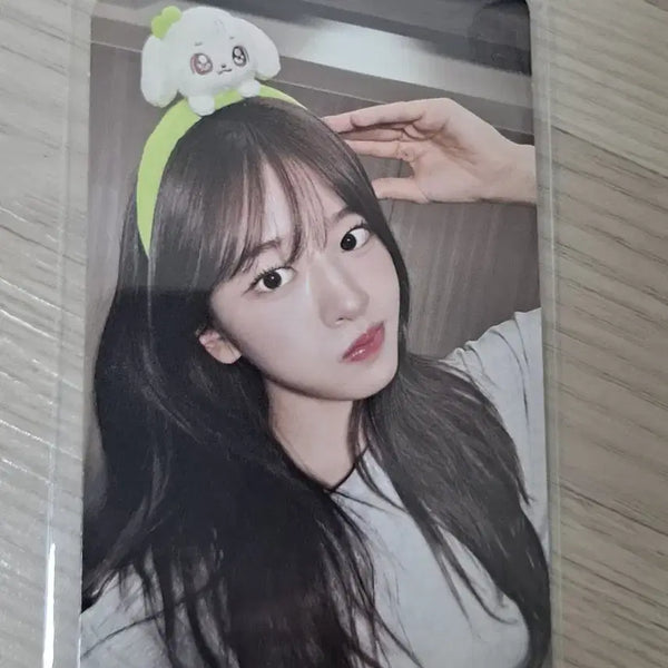[BUNJANG] IVE Yujin Everland Lucky Draw Photocard / 아이브 에버랜드 유진 7만원 특전