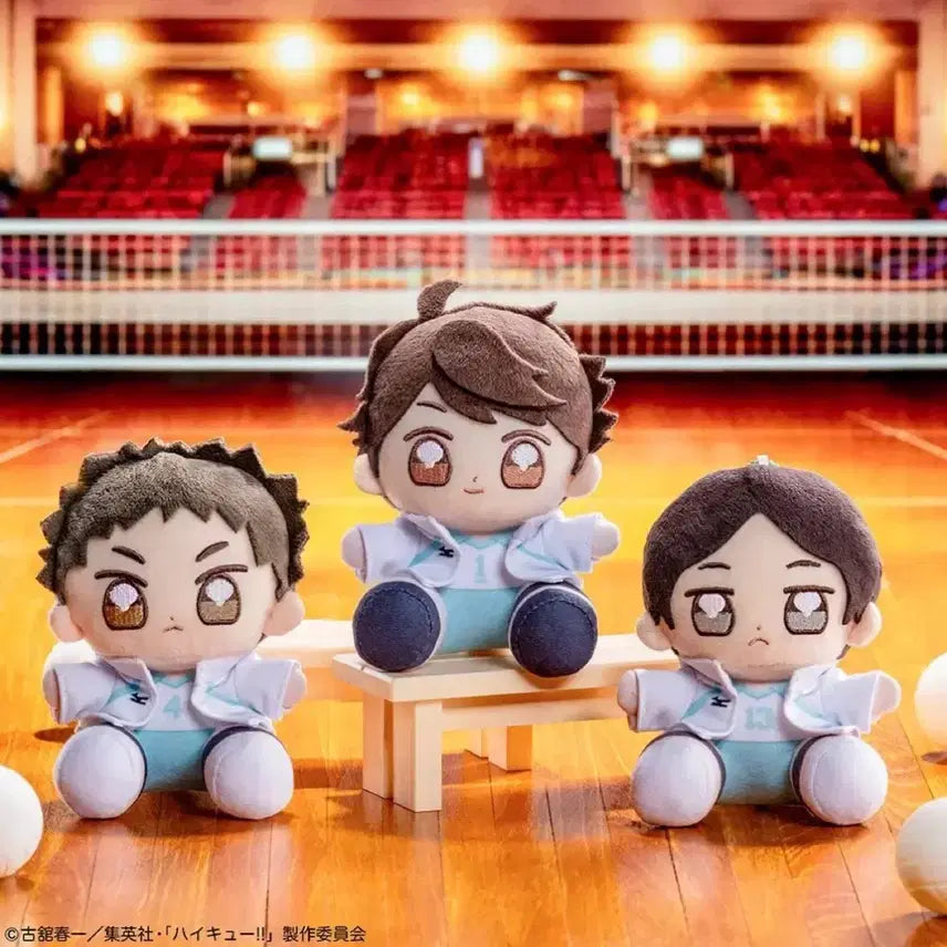 [BUNJANG] Taito Kuji Haikyu!! D Prize Akira Kunimi Mascot Plush / 타이토 쿠지 하이큐!! D상 쿠니미 아키라 마스코트 봉제인형 누이