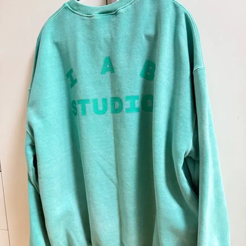 [BUNJANG] IAB Studio Jade Color Sweatshirt XL / 아이앱 스튜디오 맨투맨 제이드 컬러 XL