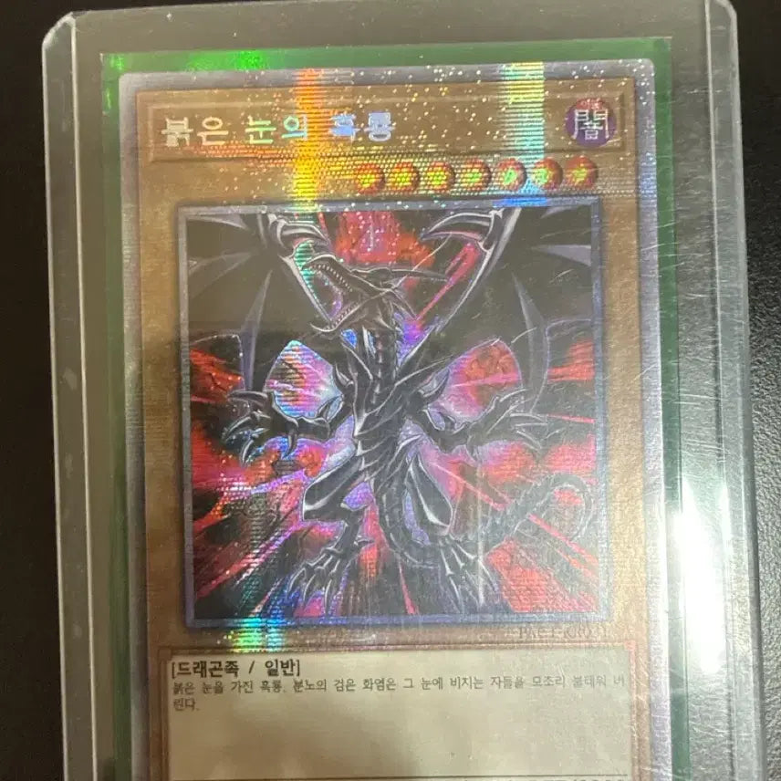[BUNJANG] Yu-Gi-Oh! Red-Eyes Black Dragon / 유희왕 붉은 눈의 흑룡