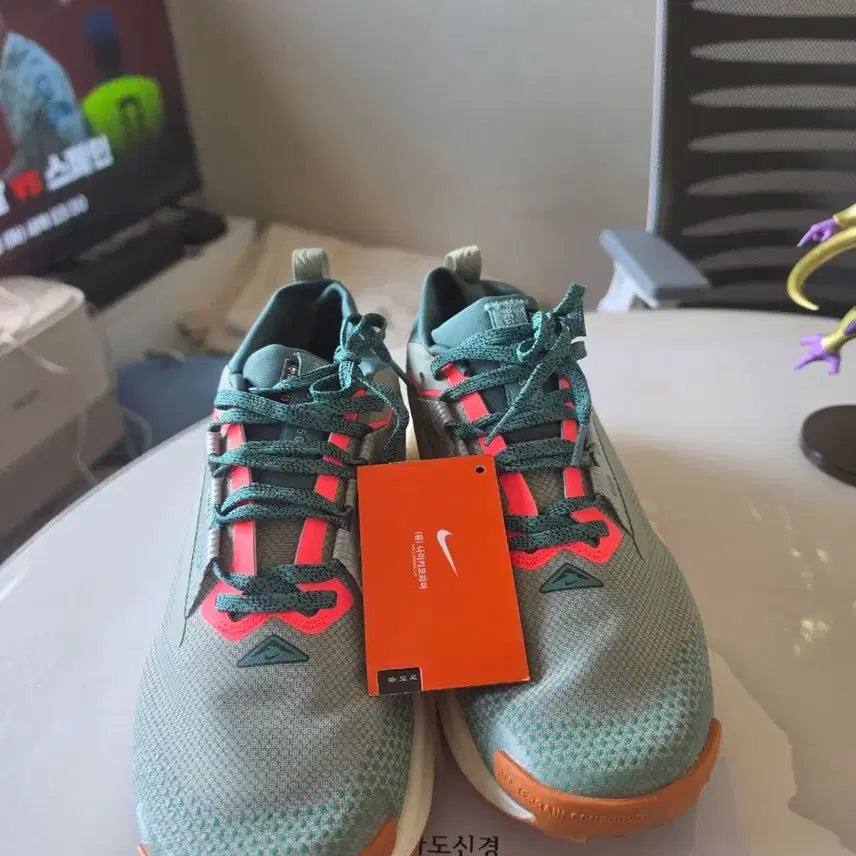[BUNJANG] Nike Pegasus Trail 5 Gore-Tex Men's Running Shoes Size 285 / 나이키 페가수스 트레일 5 고어텍스 285