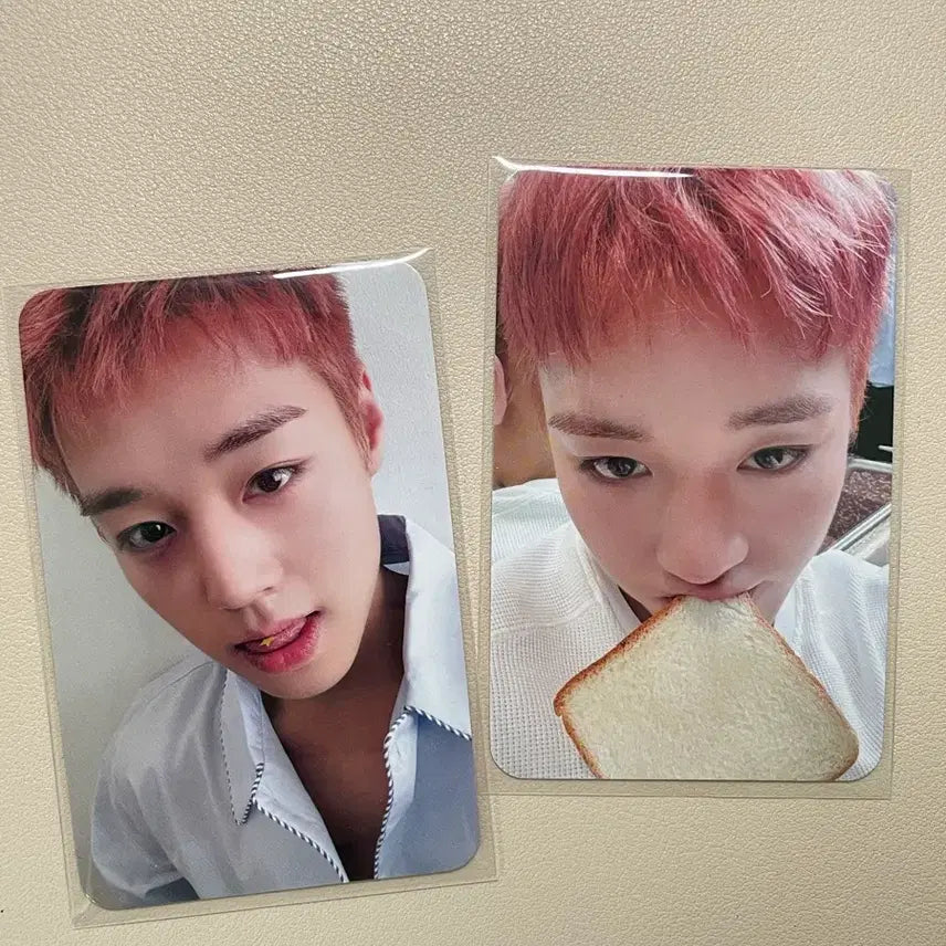 [BUNJANG] Park Jihoon Music & Drama Lucky Draw "Shikppang" Photocard Bundle Set / 2장일괄)박지훈 미공포 뮤직앤드라마 뮤앤드 식빵포카 특전