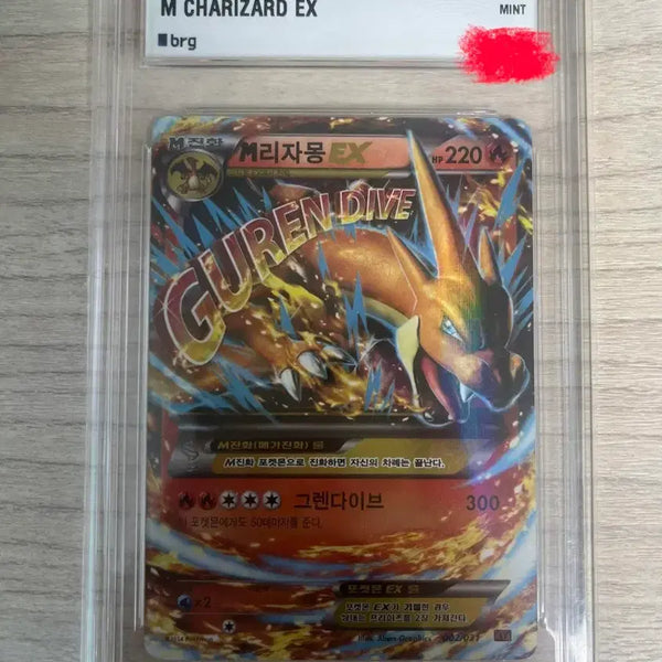 [BUNJANG] Charizard ex Y BRG9 / m리자몽ex y brg9