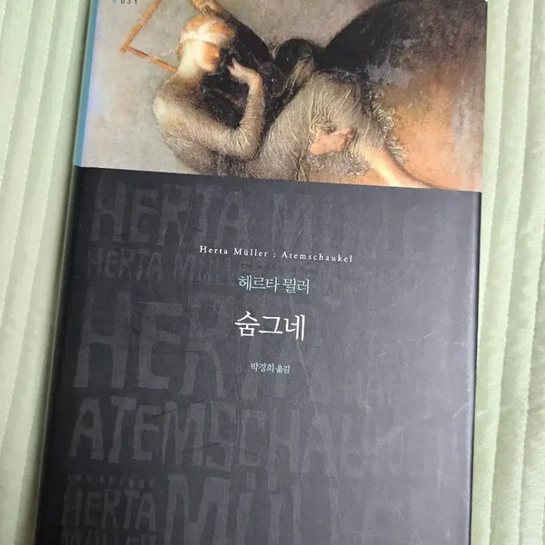 [BUNJANG] Hertha Müller Breathing Drawer (The Breathing Drawer) - World Literature Series / <숨그네> 헤르타 뮐러, 문학동네 세계문학전집