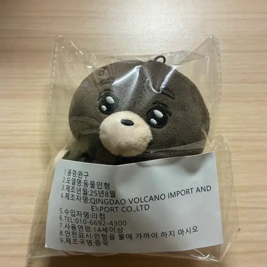 [BUNJANG] Day6 Sungjin Doottongi Sealed Photocard / 데이식스 성진 두떵지 미개봉 양도
