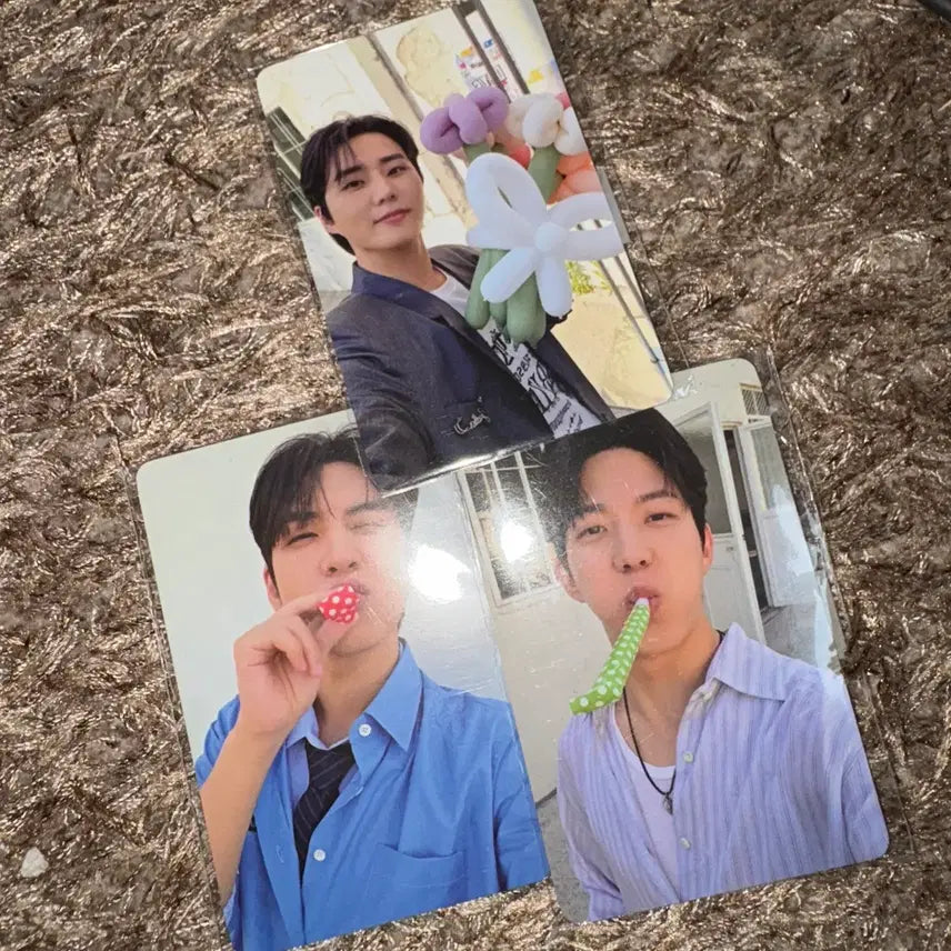 [BUNJANG] Day6 Young K Wonpil Dowoon Bundle Set Photocard (Sealed) / (일괄)Day6 데이식스 영케이 원필 도운 포카 미개봉