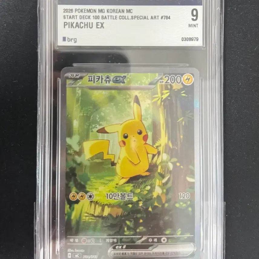 [BUNJANG] Pikachu & Clefairy 100-Deck Bundle / 100덱 피카츄, 릴리에의 삐삐 brg9 판매