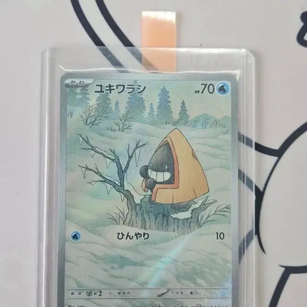 [BUNJANG] Pokemon Card Snorunt AR Japanese Version S-Class / 포켓몬 카드 눈꼬마 AR 일판 S급