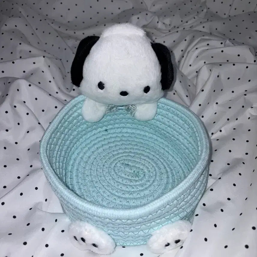 [BUNJANG] Sanrio Pochacco Storage Basket / 산리오 포차코 수납 바구니