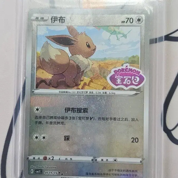 [BUNJANG] Pokemon Card Eevee Promo Reissue / 포켓몬카드 이브이 프로모 중판