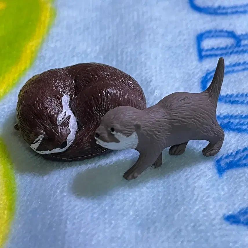 [BUNJANG] Otter Figure Gacha Set (2 Variations) / 수달 피규어 가챠 2종 세트 동물 애니멀 미니어쳐 장난감