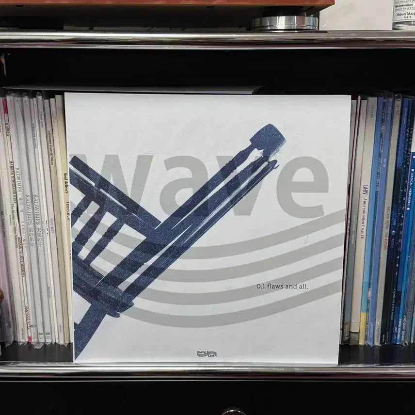 [BUNJANG] Wave To Earth 1st Album Marble LP (Unsealed) / wave to earth 1집 마블 lp 개봉
