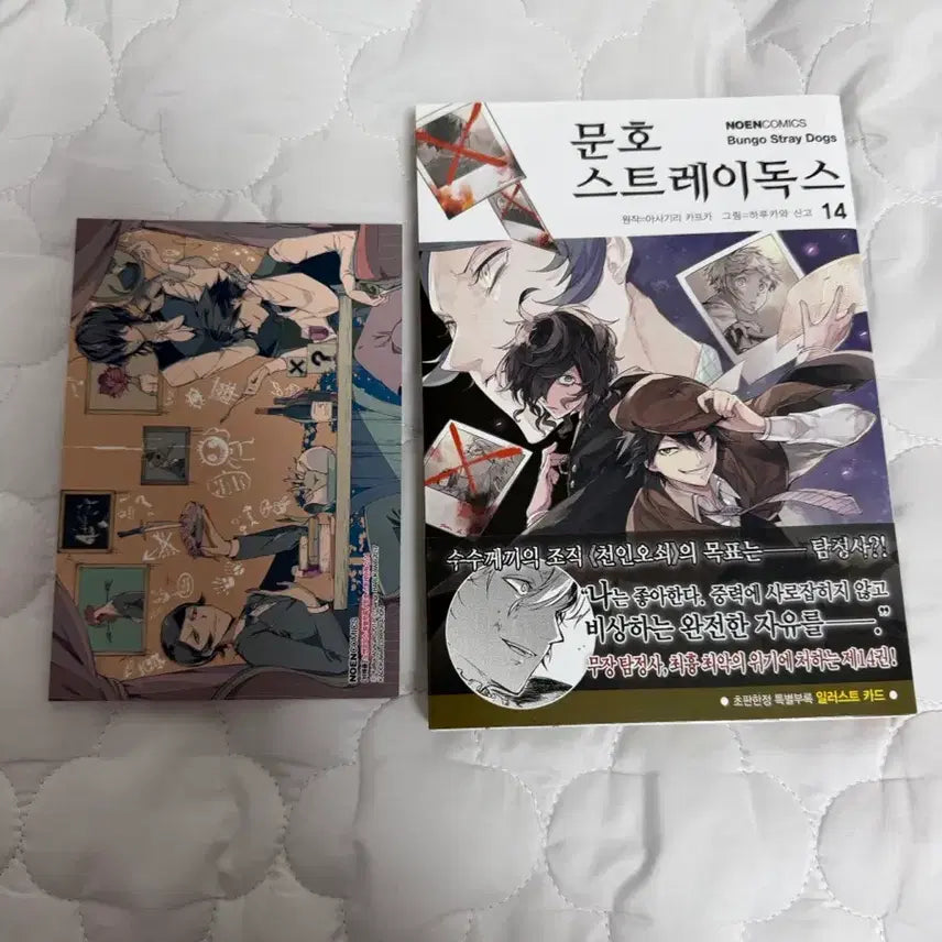 [BUNJANG] Bungo Stray Dogs Volume 14 First Edition Manga / 문호스트레이독스 문스독 14권 초판 만화책