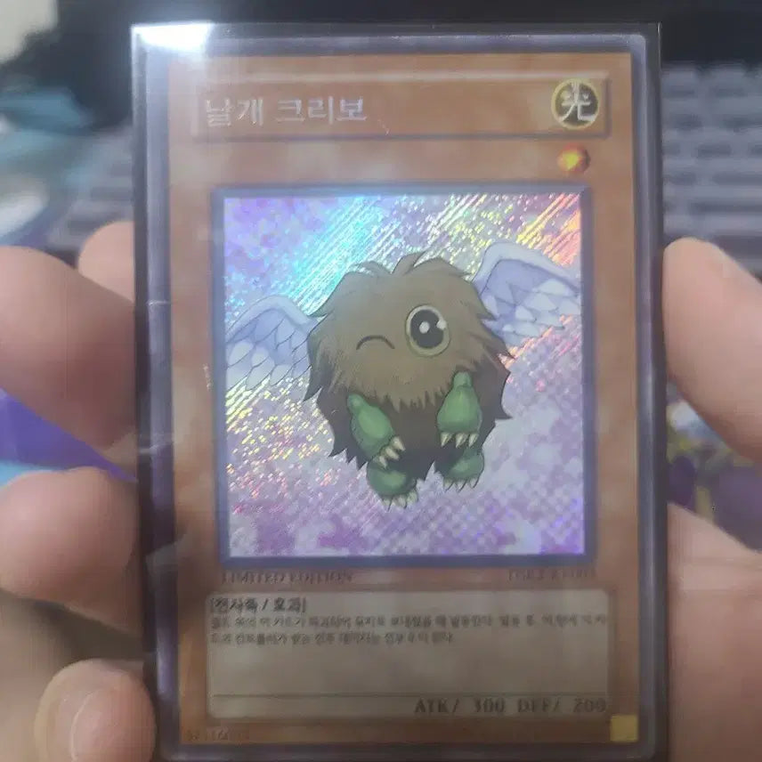 [BUNJANG] Yu-Gi-Oh! Winged Kuriboh Oblique Chic Card / 유희왕 날개 크리보 사선시크