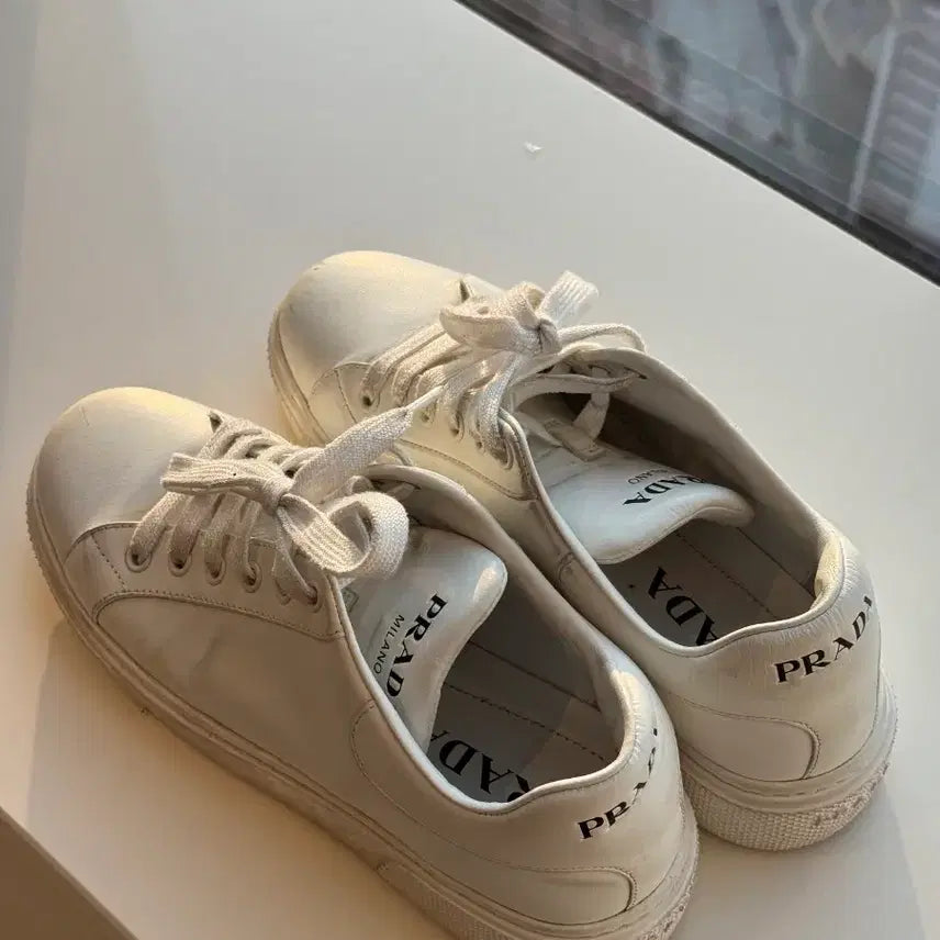 [BUNJANG] Prada Sneakers White 250 / 프라다 스니커즈 화이트 250