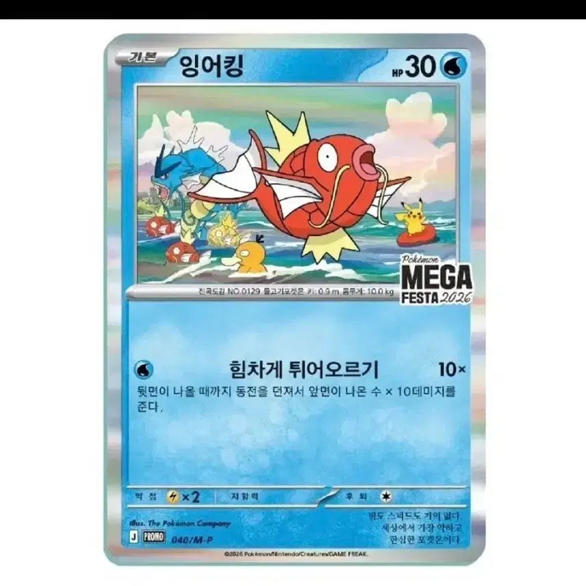 [BUNJANG] Pokemon Magikarp MEGA FESTA 2026 Promo Card / 포켓몬카드 잉어킹 MEGA FESTA 2026 프로모 카드