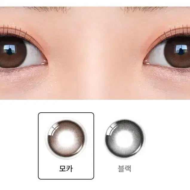 [BUNJANG] Rain Mocha Daily Contact Lenses (4 Pairs) / 레인모카 원데이 4일치 팔아요