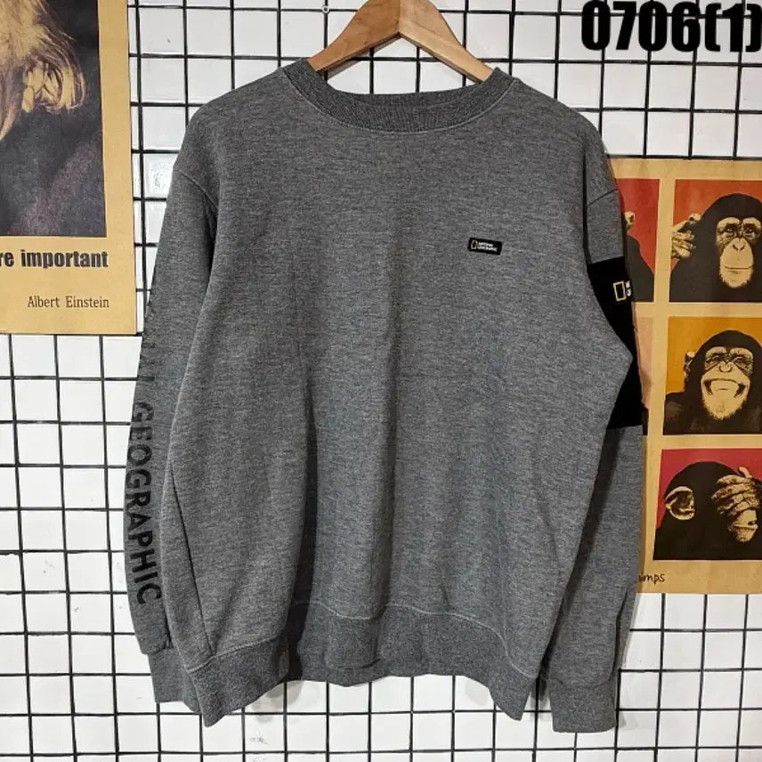 [BUNJANG] National Geographic Sweatshirt Grey XL / 내셔널지오그래픽 맨투맨 그레이 XL
