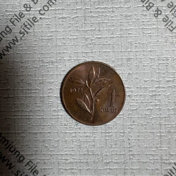 [BUNJANG] 1971 Turkey 1 Kuruş Coin / 1쿠루스 1971 터키 주화