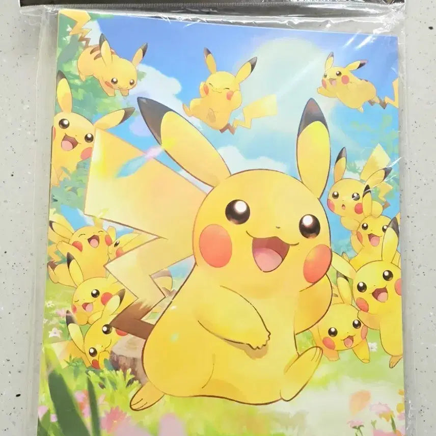 [BUNJANG] Pokemon Card Game Pikachu Collection File (Binder) / 포켓몬 카드 게임 컬렉션 파일(바인더) 피카츄