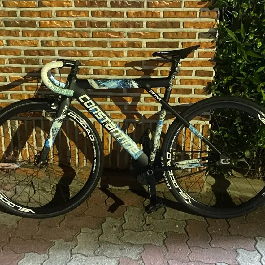 [BUNJANG] Konstantin PITA (Size M) Pixie Bicycle Frame / 콘스탄틴 피타(사이즈M)픽시