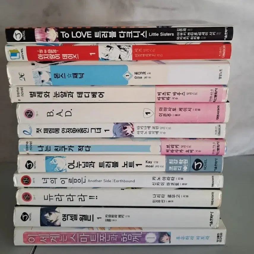 [BUNJANG] Light Novel Collection Bundle / 라노벨 소설책 일괄