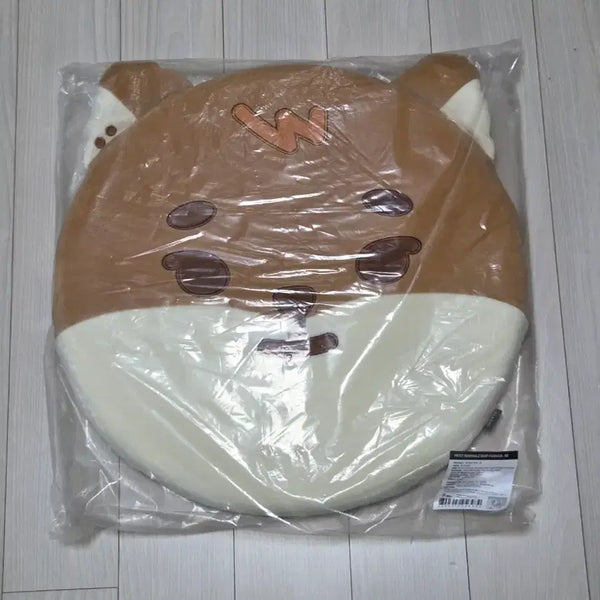 [BUNJANG] DAY6 Young K Petit Mals Cushion / 원가양도) 데이식스 영케이 쁘멀 쁘띠멀즈 방석 day6 youngk