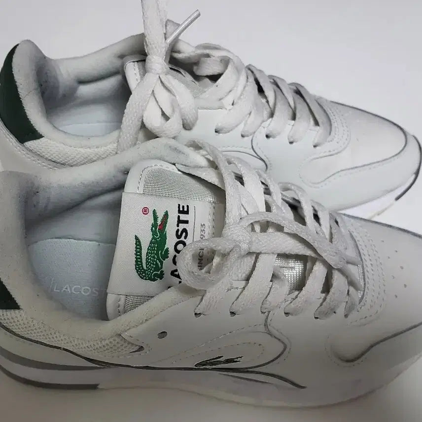 [BUNJANG] Lacoste Sneakers / 라코스테 운동화