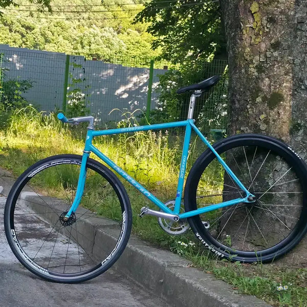 [BUNJANG] Interpro Track Bicycle / 인터프로 경륜 자전거 팝니다