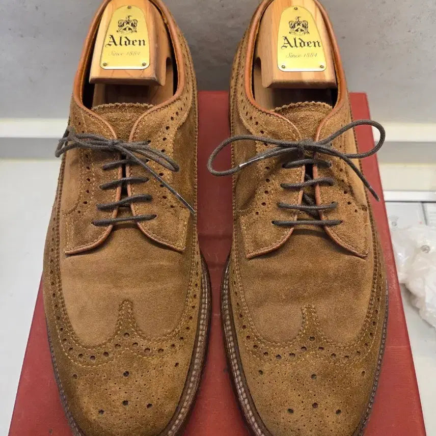 [BUNJANG] Alden 9794 Suede Loafers / 알든 9794 스웨이드 9.5E
