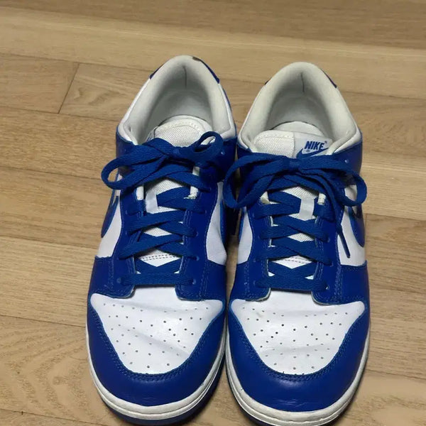 [BUNJANG] Nike Dunk Kentucky Blue 290 / 나이키 덩크 켄터키 블루 290