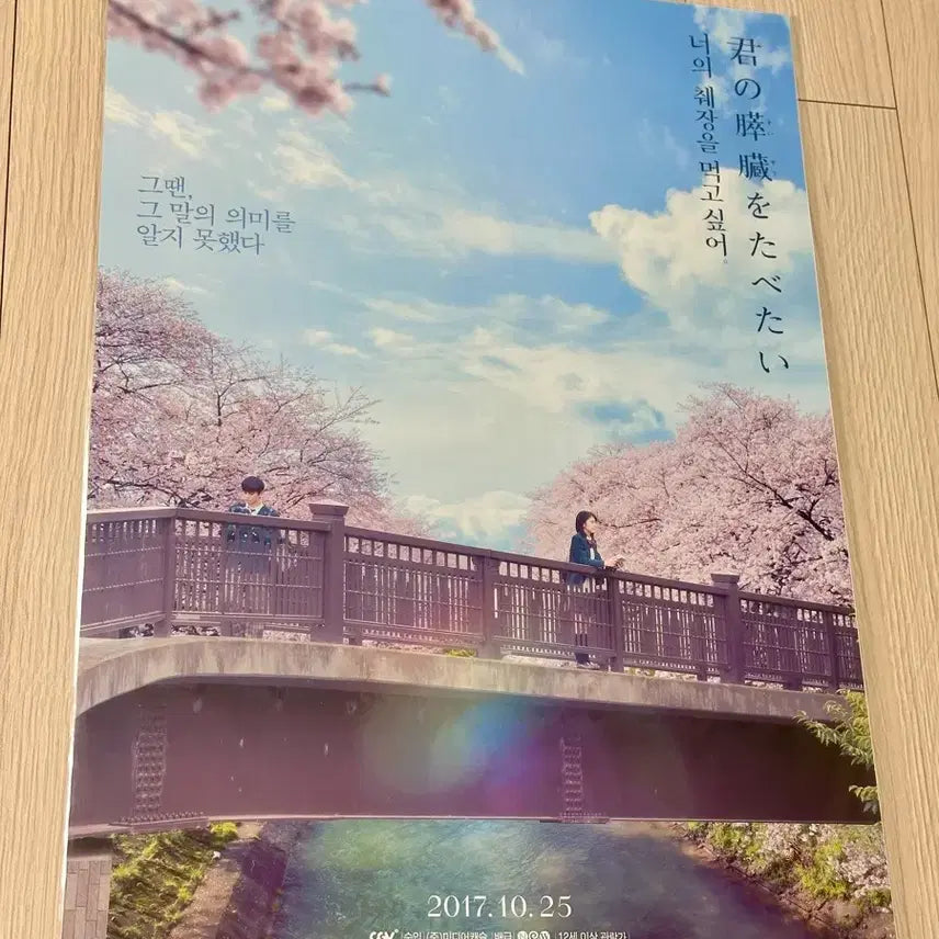 [BUNJANG] I Want to Eat Your Pancreas Special Edition A3 Poster (2017 Limited Edition) / [2017초희귀한정판]영화 너의췌장을먹고싶어 스페셜 포스터(A3)