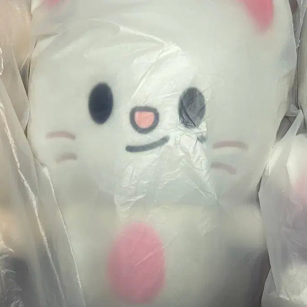 [BUNJANG] Stray Kids Fan Meeting Geniereath Backpack Bag / 스키주 팬미팅 지니렛 백팩 스키즈 가방