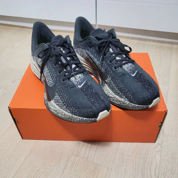 [BUNJANG] Nike Pegasus Plus Running Shoes / 나이키 페가수스 플러스