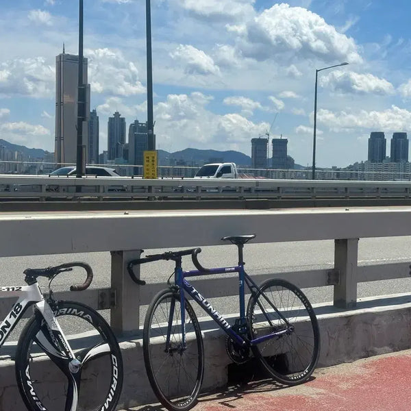 [BUNJANG] Tsunami SNM100 Chameleon Frame/Bike - Size M / 쓰나미 SNM100 카멜레온 판/대