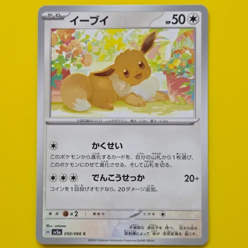 [BUNJANG] Pokemon Card SV5a Eevee Japanese Version / 포켓몬카드 sv5a 이브이 일판