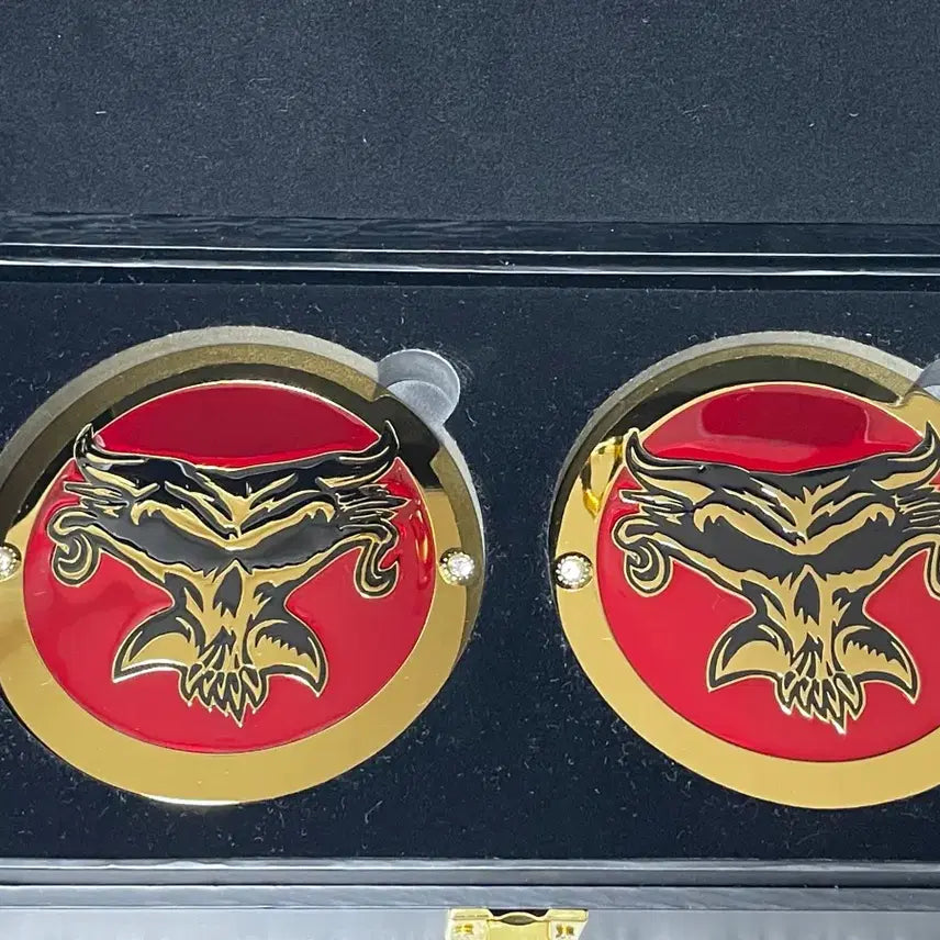 [BUNJANG] Brock Lesnar Side Plate Box WWE Replica Belt Accessory / WWE 브록레스너 사이드 플레이트 박스