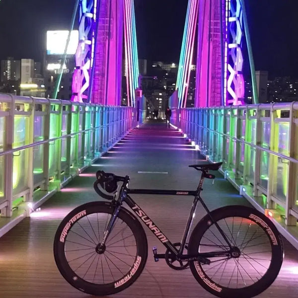 [BUNJANG] Tsunami SNM100 Chameleon Track Bike Frame - Semi Complete / 쓰나미snm100카멜레온 반차 급처