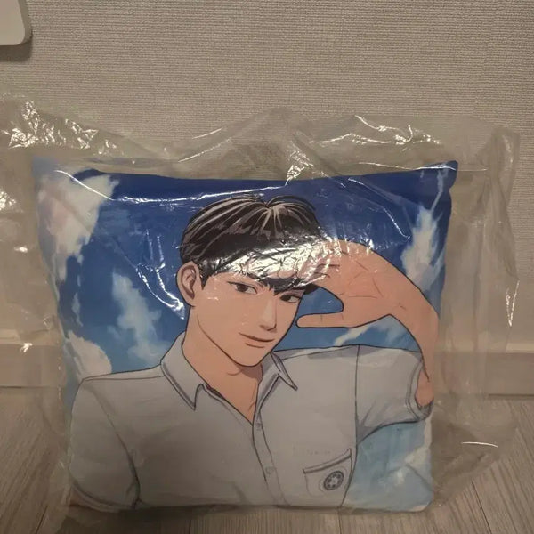 [BUNJANG] PLAVE Hamin Soft Cushion / 플레이브 하민 말랑 쿠션