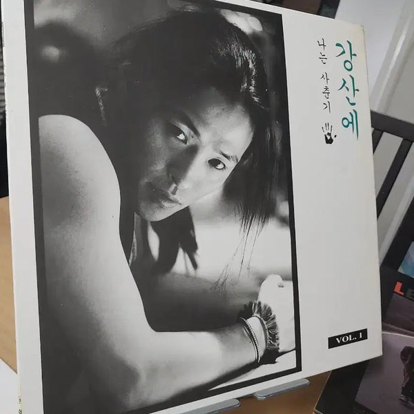 [BUNJANG] Kang San Ae 'Naneun Sachungi' LP Vol. 1 / 강산에 나는 사춘기 LP VOL.1