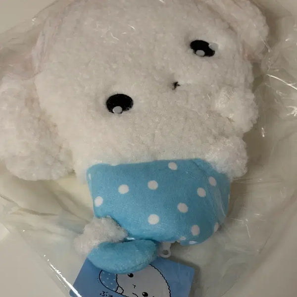 [BUNJANG] BuruBuru Pouch / 오늘만할인)부르부르 파우치