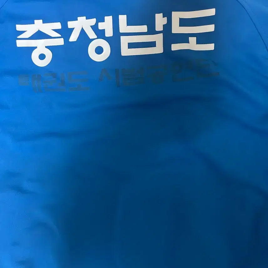 [BUNJANG] Adidas Chungcheongnam-do Jersey / 아디다스 충청남도 져지