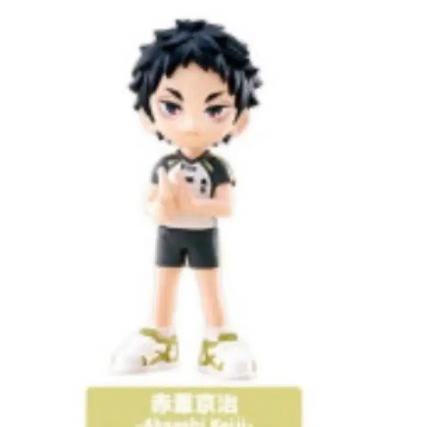 [BUNJANG] Haikyuu!! Akaashi Keiji Fuyus Ver. Figure / 하이큐 아카아시 팔버스 피규어