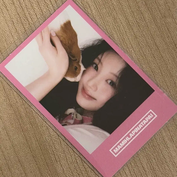 [BUNJANG] ILLIT Wonhee It's Me Weverse POB Polaroid / 아일릿 원희 포카 잇츠미 위버스 특전 폴라