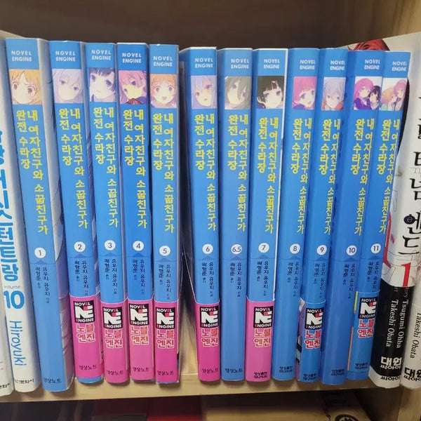 [BUNJANG] My Girlfriend and Childhood Friend Are Both Super Sorceresses 1-11 / 라노벨 내 여자친구와 소꿉친구가 완전수라장 1~11