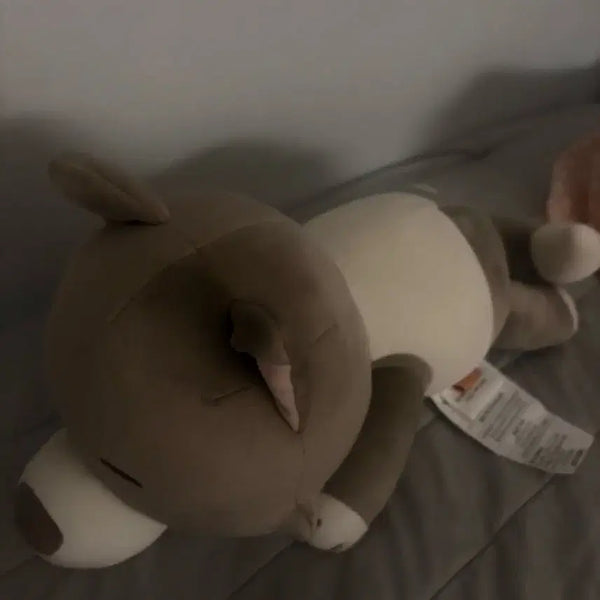 [BUNJANG] Bong Jaehyun Cushion / 쁘넥도 명명이 쿠션 보넥도 명재현 눕쿠션