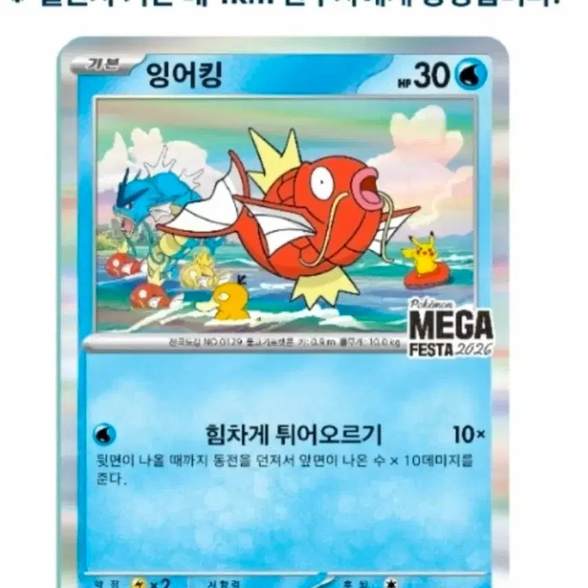 [BUNJANG] Pokemon Magikarp Promo Card Set (2 Cards) / 포켓몬 잉어킹 프로모 카드 2장
